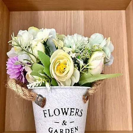 Parco Dora, Juventus New