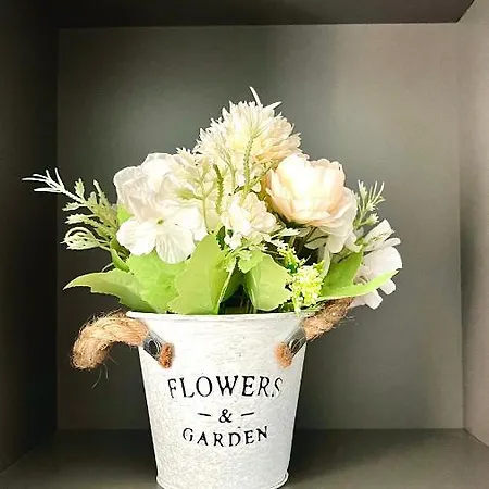 Parco Dora, Juventus New