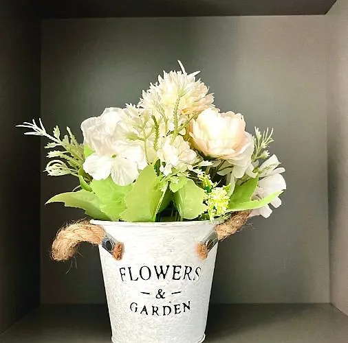 Parco Dora, Juventus New